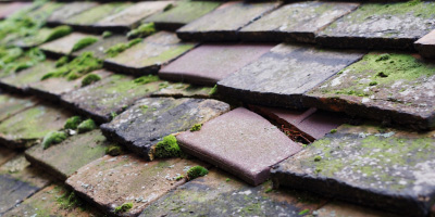 Burton Joyce roof repair costs